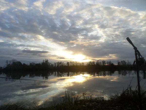 La thermocline et la pêche de la carpe