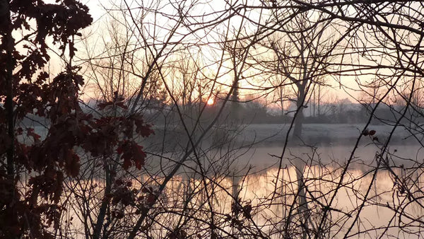 Pêche de la carpe en hiver : techniques et appâts efficaces en eau froide
