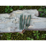 Sleeve anti tangle large pour bas de ligne carpe - Accessoire montage carpe - Carpe Easy Shop