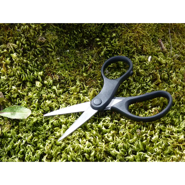 Ciseaux de pêche carpe pour couper fils et tresses - Tackle carpe - Précision et durabilité - Carpe Easy Shop