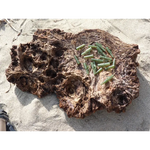 Clip plomb carpe pour fixation sécurisée - Tackle carpe - Accessoire de montage - Carpe Easy Shop