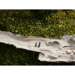 Émerillons Rolling Big Eye pour montage rig carpe - Grand œillet pour mobilité maximale - Carpe Easy Shop