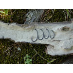 Hameçons Klor Micro Ardillon